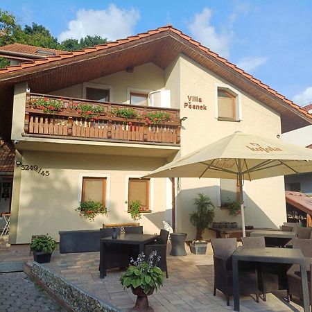 Villa Psenek Banka Exterior photo