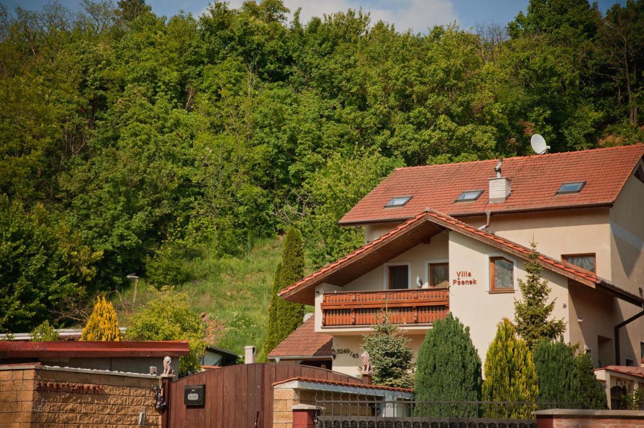 Villa Psenek Banka Exterior photo