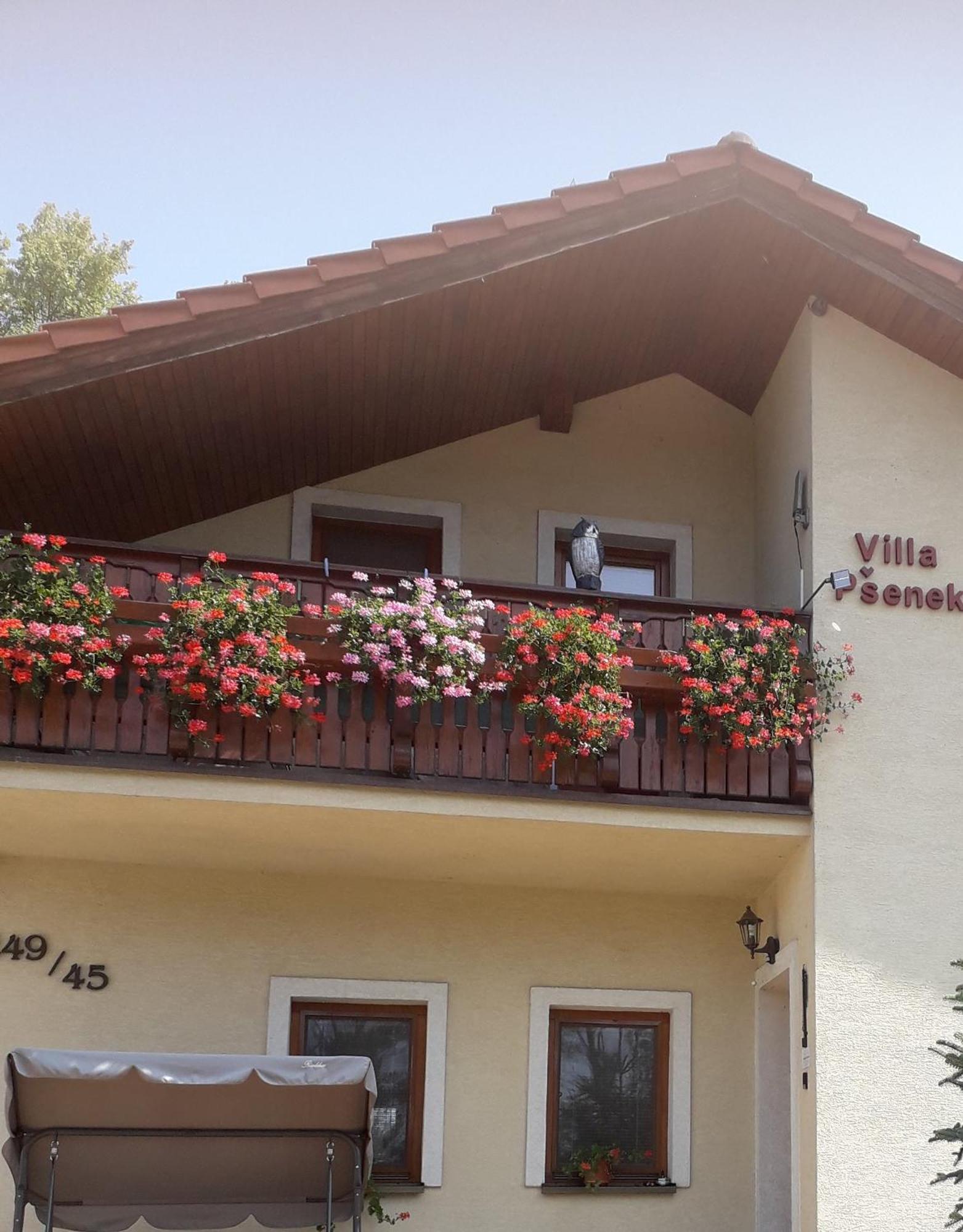 Villa Psenek Banka Exterior photo